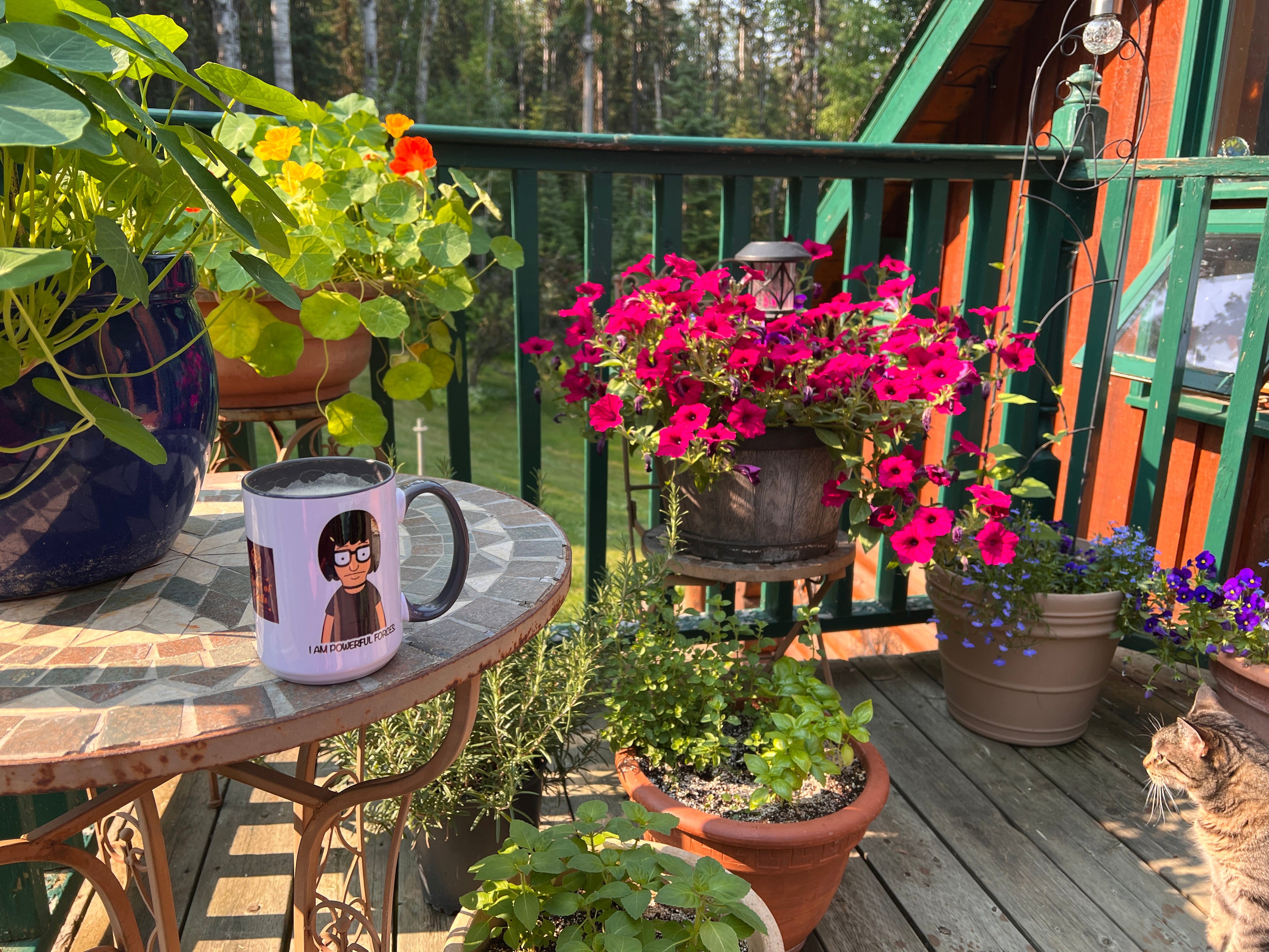 Wild willow creations studio patio
